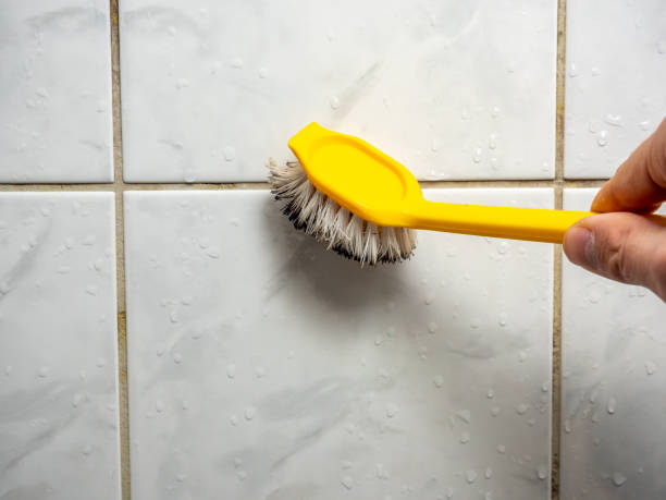 Best Mold Remediation for Schools in West Vero Corridor, FL