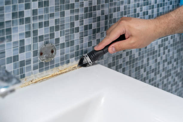 Best Health and Safety Mold Remediation in West Vero Corridor, FL